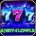 andy flower Deluxe Pro v3.3.4