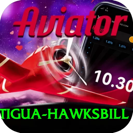 antigua hawksbill App - 2