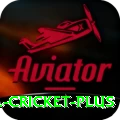 bbl cricket Champion PK v3.7.4