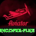 bingopkr Master Pro v3.2.2