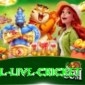 bpl live cricket Pro1 v2.7.4