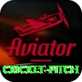 cricket pitch Elite Pro v2.6.6