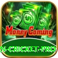 fastest ball in cricket Prime Slots