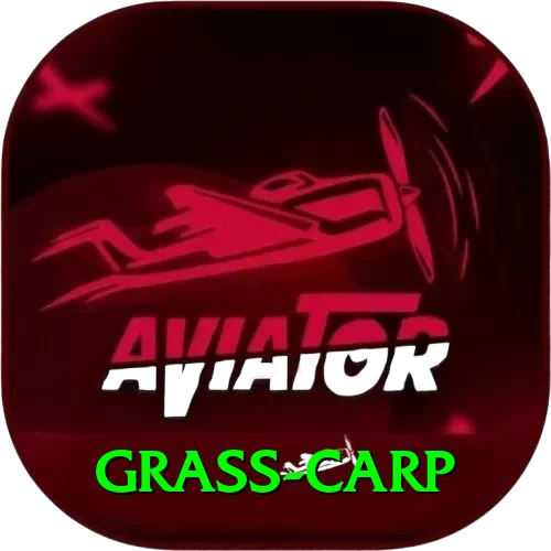 grass carp VIP Pro v5.9.5 - 2