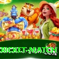 india cricket match Premium v2.2.3