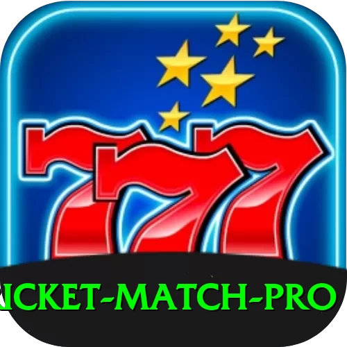 india cricket match VIP Slots - 2