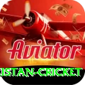 india pakistan cricket Pro Edition v3.0.9