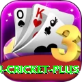 india pakistan cricket Mega PK v3.1.9