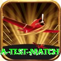 india test match Deluxe v4.7.1