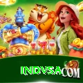 indvsa Pro v3.9.2
