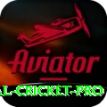 international cricket APK Pro v5.0.7