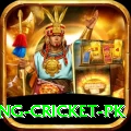 make money betting cricket pk Apps (Tools & Injectors) Master v3.4.4