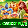 one cricket Slots Elite v3.0.6
