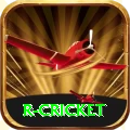 r cricket Max v3.1.9