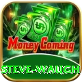 steve waugh Master v4.5.4