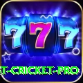 test cricket Plus Rewards