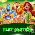 test match Ultimate Pro v1.9.3