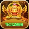 tiger888 Plus v1.0.0