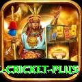 watch live cricket Royal - Win Real PKR