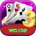 wc t20 Apps (Tools & Injectors) Master v1.3.2