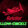 willow cricket Apps (Tools & Injectors) Pro v5.2.1