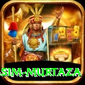 yasim murtaza Pro Edition v4.5.0